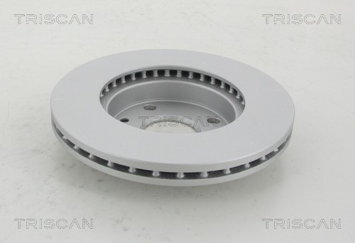 Brake Disc TRISCAN 812018117C 2