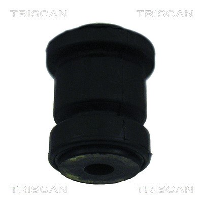 Mounting, control/trailing arm TRISCAN 850016813