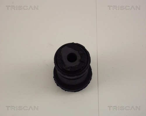 Mounting, control/trailing arm TRISCAN 850016813 3