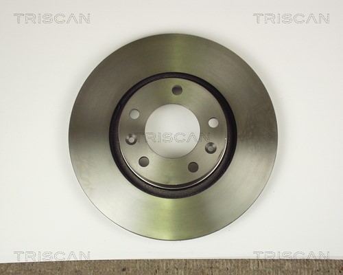 Brake Disc TRISCAN 812010103