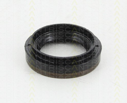 Shaft Seal, differential TRISCAN 855010035