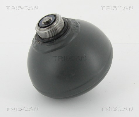 Pressure Accumulator, pneumatic suspension TRISCAN 876038228