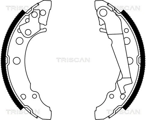 Brake Shoe Set TRISCAN 810029001