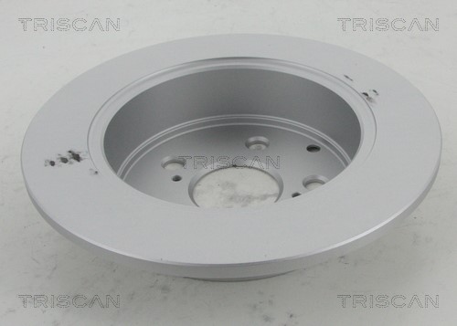 Brake Disc TRISCAN 8120131010C 2