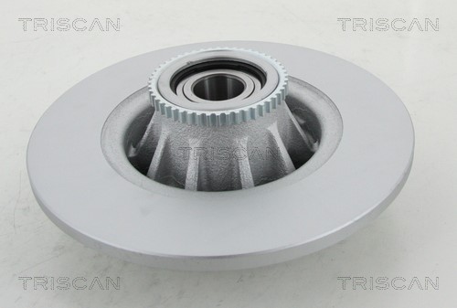Brake Disc TRISCAN 812010191C 2