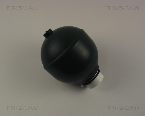 Pressure Accumulator, pneumatic suspension TRISCAN 876038219