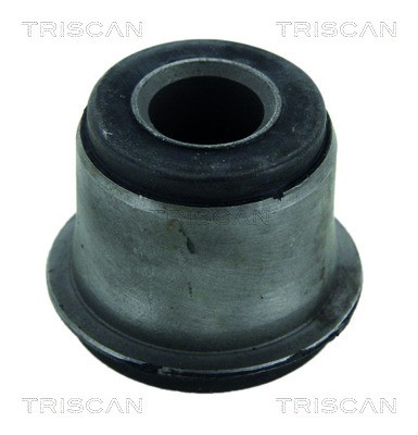 Mounting, control/trailing arm TRISCAN 850013825
