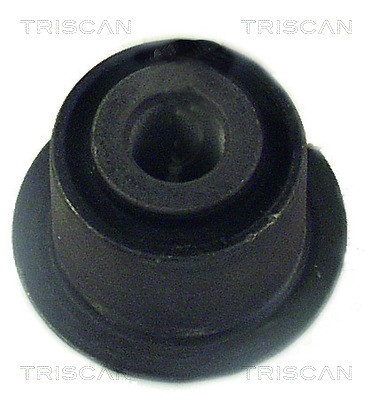 Mounting, control/trailing arm TRISCAN 850028804