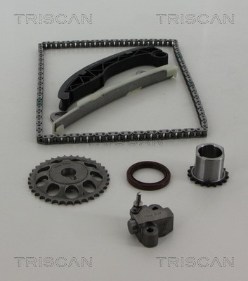 Timing Chain Kit TRISCAN 865010011