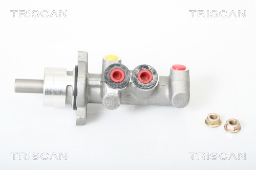 Brake Master Cylinder TRISCAN 813025131