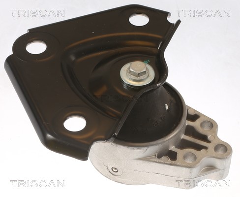 Mounting, engine TRISCAN 850510136 2