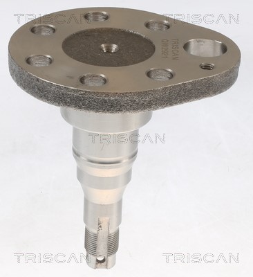 Wheel Hub TRISCAN 853529016 2