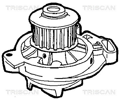 Water Pump, engine cooling TRISCAN 860029960 2