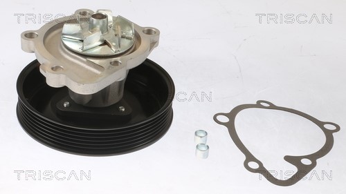 Water Pump, engine cooling TRISCAN 860043028