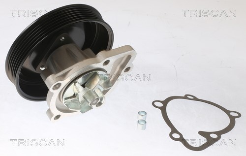 Water Pump, engine cooling TRISCAN 860043028 2