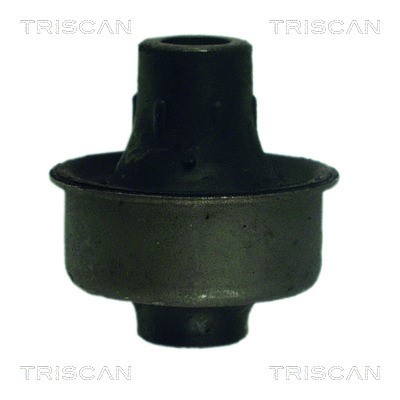 Mounting, control/trailing arm TRISCAN 850024816
