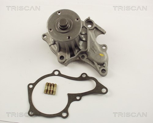 Water Pump, engine cooling TRISCAN 860013991