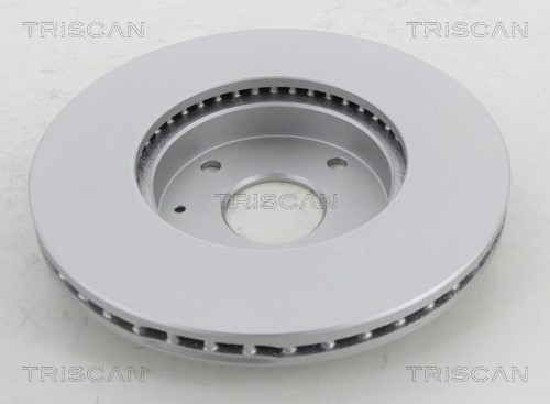 Brake Disc TRISCAN 812021111C 2
