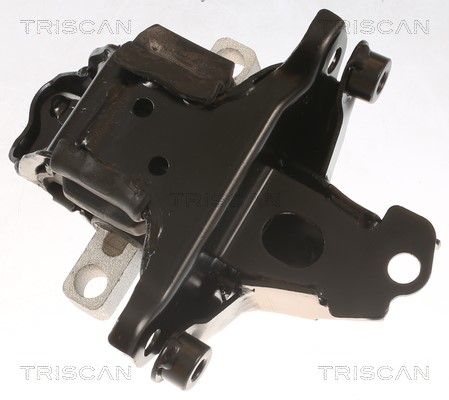 Mounting, engine TRISCAN 850529139 2