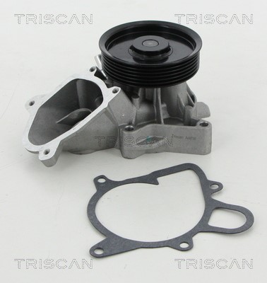 Water Pump, engine cooling TRISCAN 860011030