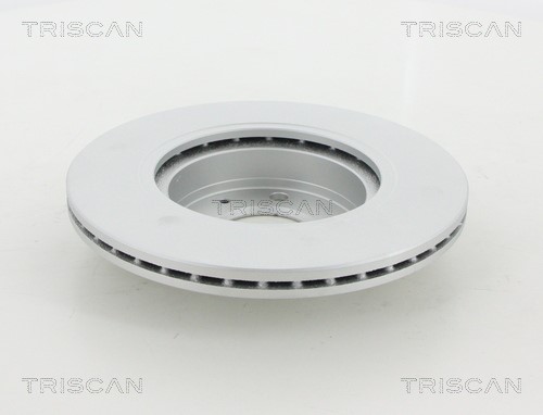 Brake Disc TRISCAN 812018126C 2