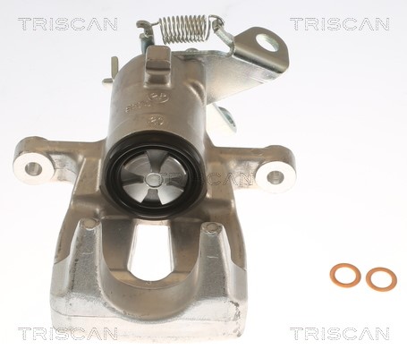 Brake Caliper TRISCAN 817525203