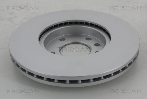 Brake Disc TRISCAN 812024123C 2