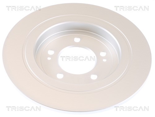 Brake Disc TRISCAN 812043180C 2