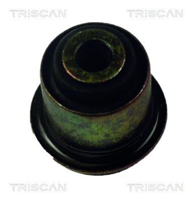 Mounting, control/trailing arm TRISCAN 850025800