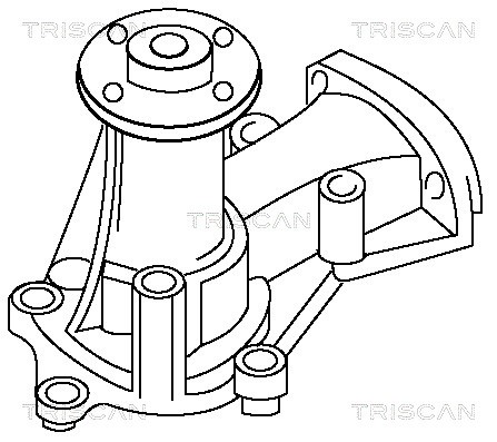 Water Pump, engine cooling TRISCAN 860041110 2