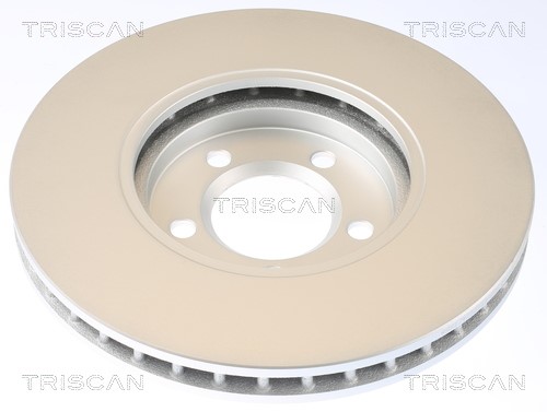 Brake Disc TRISCAN 8120101153C 2