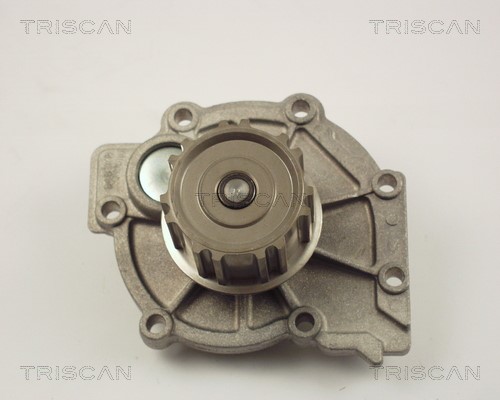 Water Pump, engine cooling TRISCAN 860027106