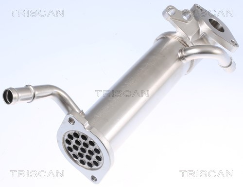 Cooler, exhaust gas recirculation TRISCAN 881316110 2