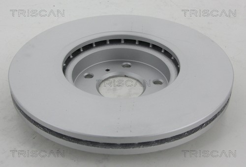Brake Disc TRISCAN 812014175C 2