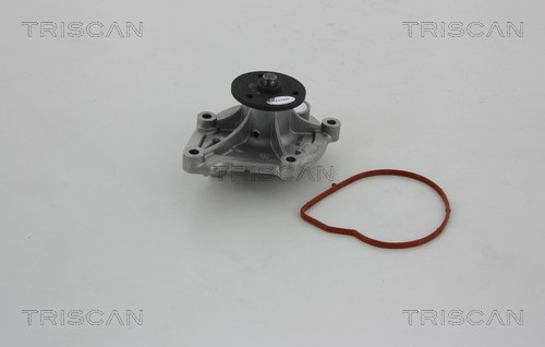 Water Pump, engine cooling TRISCAN 860010032