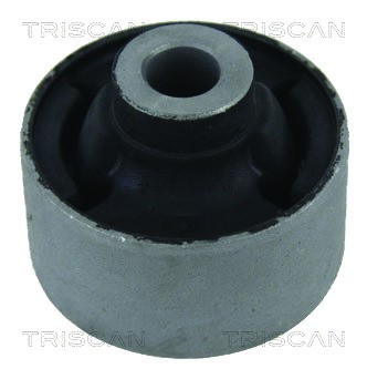 Mounting, control/trailing arm TRISCAN 850040801