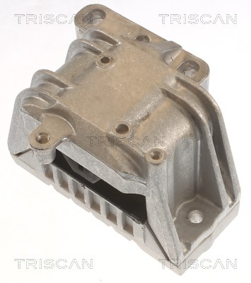 Mounting, engine TRISCAN 850529125