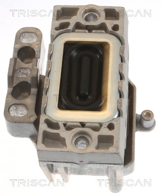 Mounting, engine TRISCAN 850529125 2