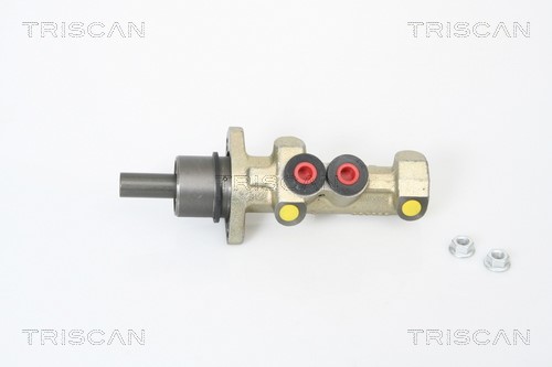 Brake Master Cylinder TRISCAN 813010114
