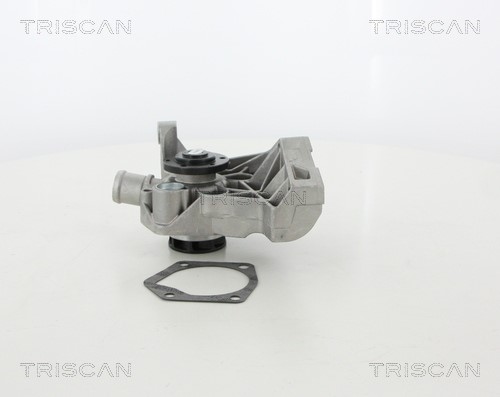 Water Pump, engine cooling TRISCAN 860029036HD