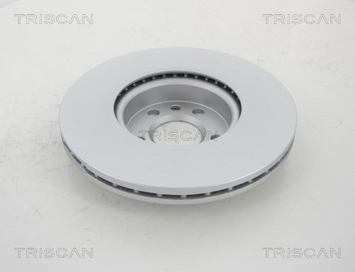 Brake Disc TRISCAN 812010173C 2