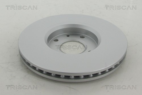 Brake Disc TRISCAN 812028112C 2