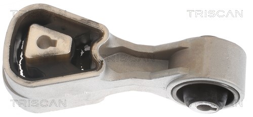 Mounting, engine TRISCAN 850510107