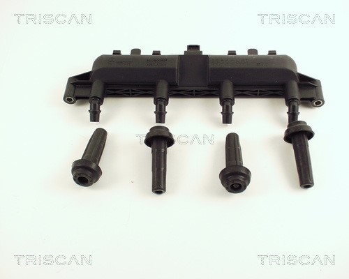 Ignition Coil TRISCAN 886028001