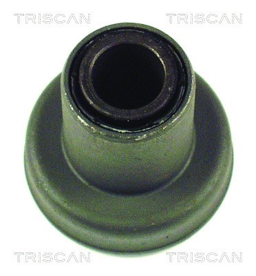 Mounting, control/trailing arm TRISCAN 850029800