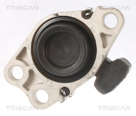 Mounting, engine TRISCAN 850525100 3