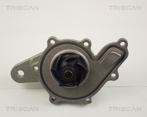 Water Pump, engine cooling TRISCAN 860010014
