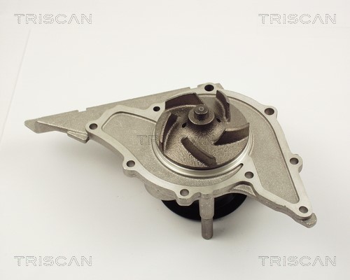 Water Pump, engine cooling TRISCAN 860029028 2