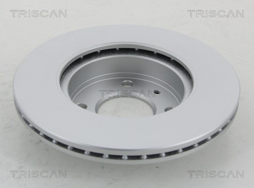 Brake Disc TRISCAN 812018113C 2