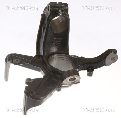 Steering Knuckle, wheel suspension TRISCAN 850029702
